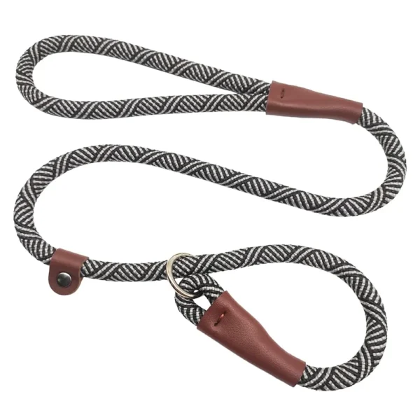 Basic Nylon Dog Lead Leash – Durable and Comfortable for Everyday Walks